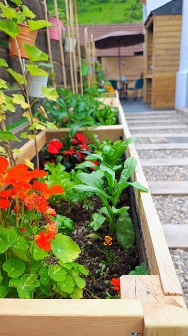Le Physalis Gite Tout Confort أوربي المظهر الخارجي الصورة